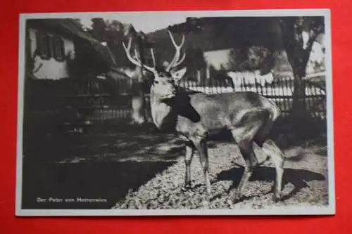 Ak Der Peter von Herrenwies, um 1928 gelaufen