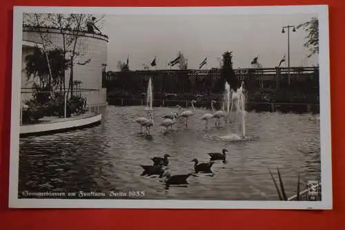 Ak  Berlin,  Sommerblumen am Funkturm 1935, nicht gelaufen