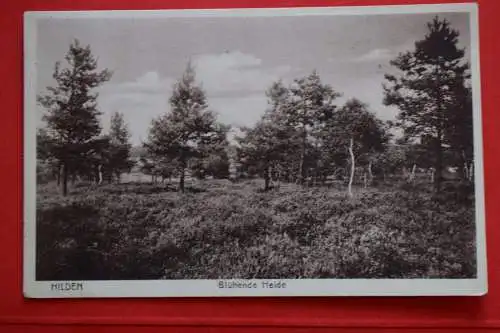 Ak Hilden, Blühende Heide, Städt. Restaurant Waldschenke H. Heinen, um 1931 gel.