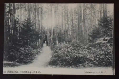 Ak Ostseebad Brunshaupten i. M., Helenenweg, um 1910 nicht gelaufen