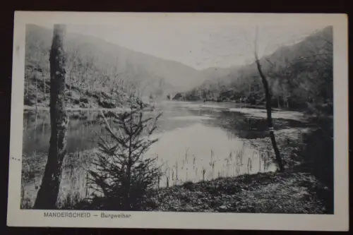 Ak Manderscheid, Burgweiher, um 1916 gelaufen