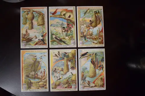 Liebig Sammelbilder, Kunstvolle Nestbauten, original und top!