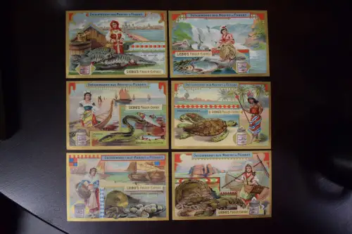 Liebig Sammelbilder Delicatessen aus Meeren und Flüssen, original und top!