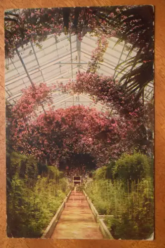 Ak Gärtnerei des Fürsten v. Pless Liebichau am Südeingang  Fürstensteiner Grund