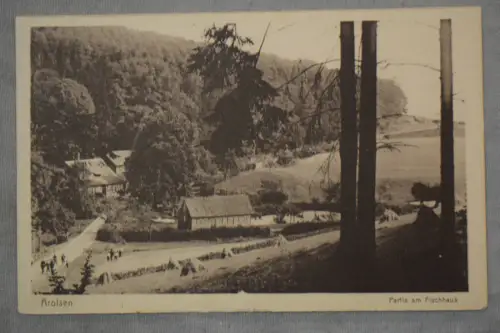 Ak Arolsen, Partie am Fischaus, um  1910 nicht gelaufen
