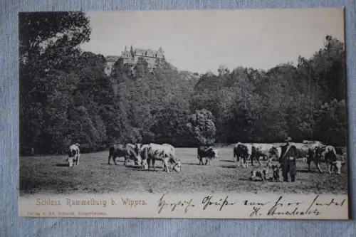 Ak Schloss Rammelburg b. Wippra,  1905 gelaufen