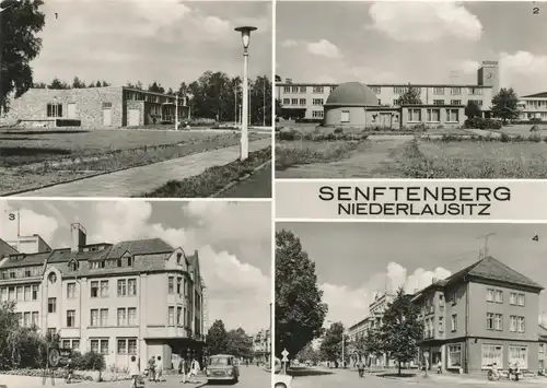 Ak Senftenberg - Niederlausitz