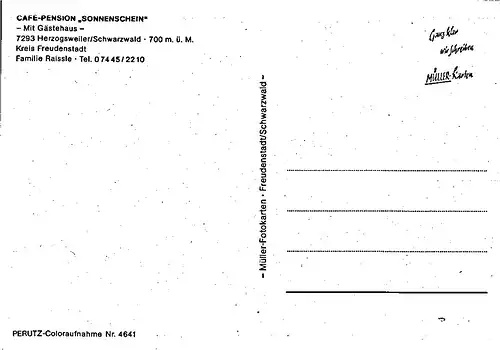 Ak Herzogsweiler/ Schwarzwald CAFE-PENSION Sonnenschein