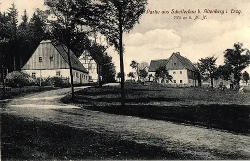 Ak Schellerhau bei Altenberg im Erzgebirge