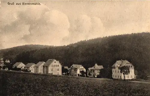 Ak Gruß aus Bienenmühle