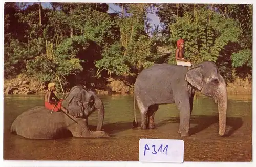 AK Sri Lanka ELEPHANTS BATHING KANDY CEYLON ungelaufen. 