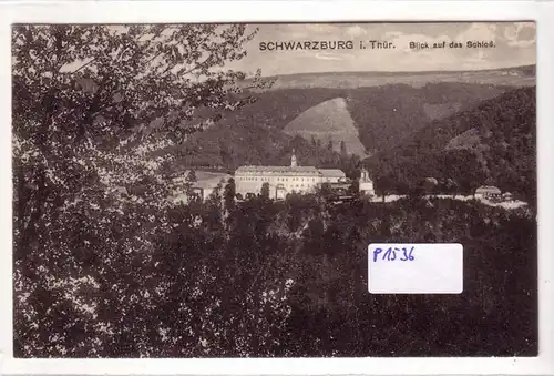 AK Schwarzburg Thüringen Blick auf das Schloß 1925 als Bahnpost gelaufen. 
