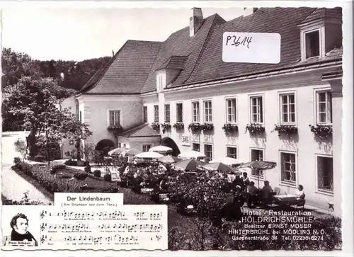 AK Österreich Hotel Restauration Höldrichsmühle Ernst Moser Hinterbrühl bei Mödling N. Ö. ungelaufen. 