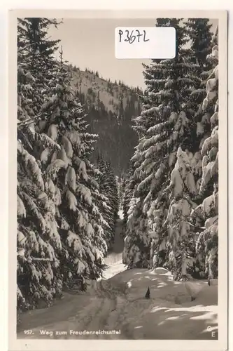 AK Weg zum Freudenreichsattel 1952 datiert ungelaufen. 