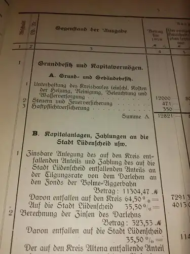 Kreisausschuß Kreis Altena (Hrsg.): Haushaltspläne des Kreises Altena für das Rechnungsjahr 1919 - viele Zahlen, Daten, Fakten und Tabellen. 