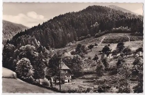 AK Wolfach Kinzigtal-Halbmeil Caritas-Kinderheim Maierhof 1965 gelaufen