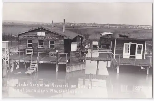 AK Biologische Seestation Neusiedl am See Bgld., Vogelparadies Neusiedlersee, ungelaufen. 