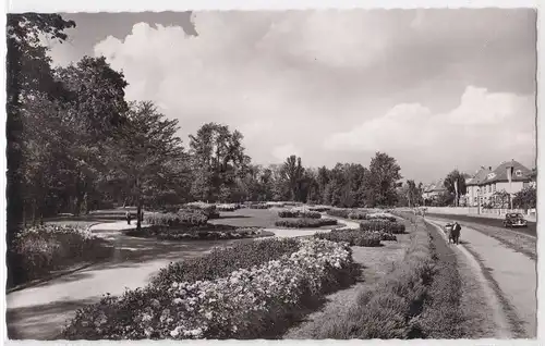 AK Gartenstadt Landau Pfalz Anlagen am Tierpark 1966 gelaufen. 