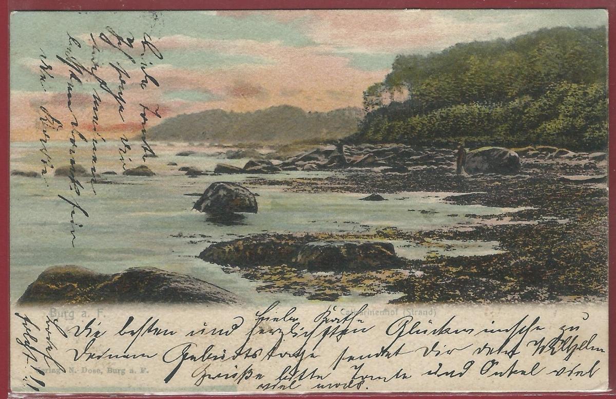 AK Burg a. Fehmarn Meer und Uferzone 1903 gelaufen Nr