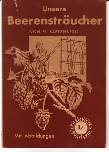 Hertel, Fritz (Neub.) / Saftenberg, Fr: Unsere Beerensträucher von Fr. Saftenberg. Neubearbeitet von Fritz Hertel / Lehrmeister-Bücherei Nr. 231 - Mit 24 Abbildungen. 