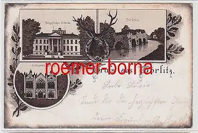 74099 Mehrbild Ak Gruss aus Wörlitz Herzogl. Schloss, Gothisches Haus 1895