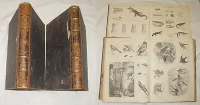 Illustrierte Naturgeschichte des Tierreichs (2 Bände)
