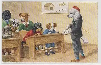 70234 Humor Ak Hunde in der Schule als Lehrer und Schüler um 1920