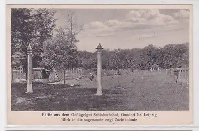 89425 Ak Gundorf bei Leipzig Geflügelhof Schlobachshof um 1930