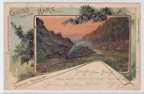82802 Lithografie AK Gruss aus dem Harz - Station Netzkater 1901