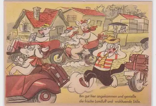 90586 Reklame Humor Ak Frankfurter Illustrierte Kater Oskar um 1950