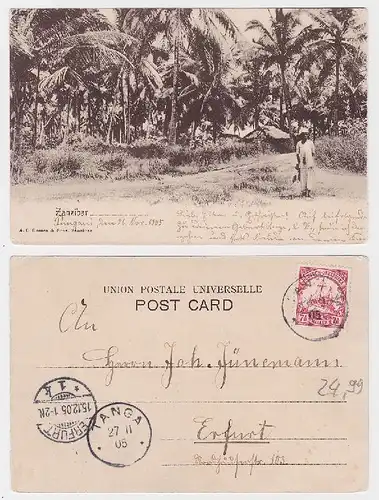 55635 Ak Zanzibar Deutsch Ost Afrika Stempel Pangani Tanga 1905