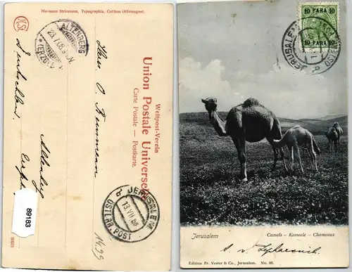 89183 AK Jerusalem - Camels - Kameele - Chameaux 1908
