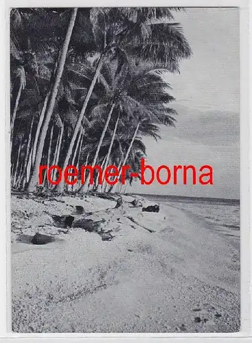 67888 Ak Palmenstrand von Samoa ehemalige Deutsche Kolonie