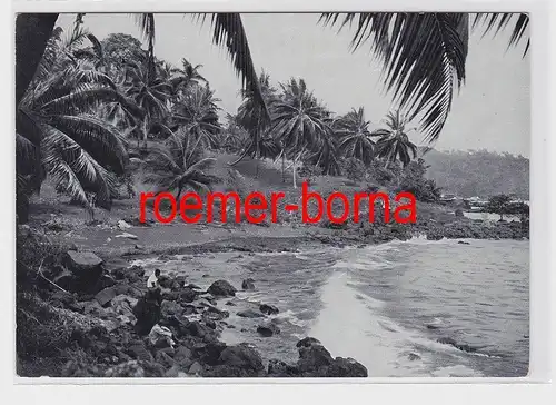 76236 Ak Tropische Küste von Kamerun ehemalige Deutsche Kolonie