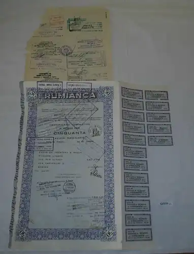 50 Stammaktien Rumianca Banco di Chiavari e della Riviera Genova 1955 (127771)