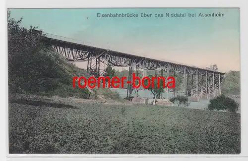 83073 Ak Eisenbahnbrücke über das Niddatal bei Assenheim 1913