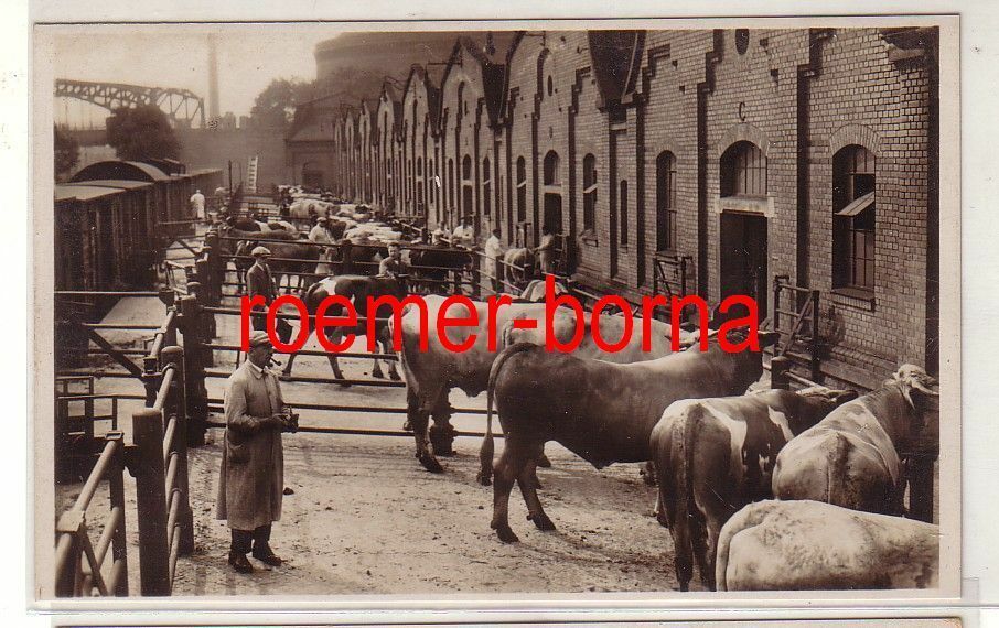 Der Artikel mit der oldthingid 39089142 ist aktuell ausverkauft.