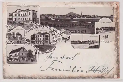 05753 Ak Lithographie Gruß aus Trebsen Bahnhof, Villa Held usw. 1896