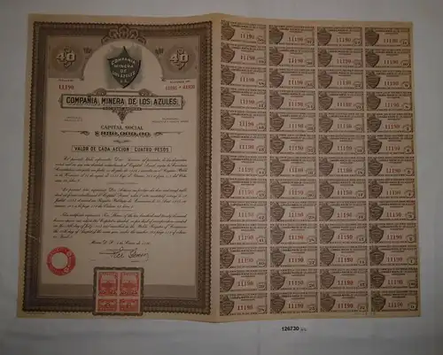 40 Peso Aktie Compañia Minera de los Azules Mérida 2. Januar 1936 (126730)