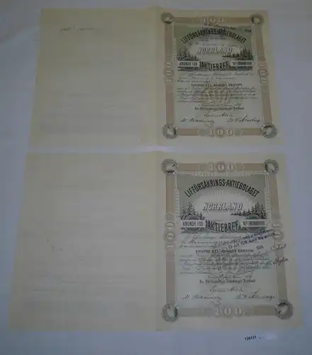 2x 100 Kronor Aktie Lifförsäkrings Aktiebolaget Norrland Sundsvall 1890 (128131)
