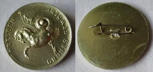seltenes DDR Abzeichen Dresden Grünes Gewölbe (135239)