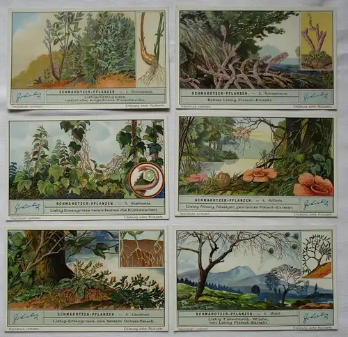 Liebigbilder Serie Nr. 1032 Schmarotzer-Pflanzen 1932 (3/125676)