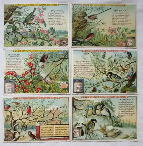Liebigbilder Serie Nr. 437 Meisenbilder 1899 (5/125625)