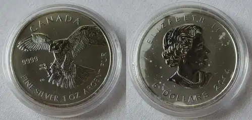 5 Dollar Silber Münze Canada Kanada Adler 1 Unze Feinsilber 2014 (134163)