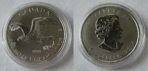 5 Dollar Silber Münze Canada Kanada Adler 1 Unze Feinsilber 2014 (134306)