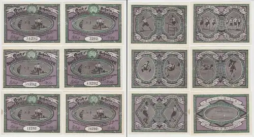 6 Banknoten Notgeld Naunhof Sportverein e.V. 1921 (154061)