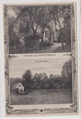 99790 AK Gruss vom Streitwald - Villa Eigensee, Waldpartie 1915