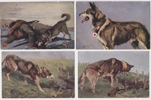 99755/4 Ak rotes Kreuz Hund - Sanitätshund im Felde Nr. 1.+2. und 8.+9. 1915