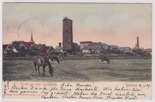 41168 AK Borkum - Partie am alten Leuchtturm mit Kühen und Pferden 1907