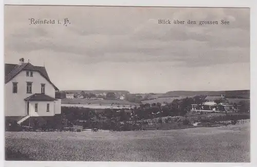52882 Ak Reinfeld in Holstein - Blick über den grossen See 1911